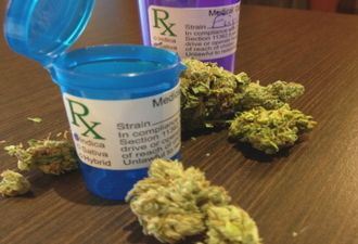 Canadian company to offer coverage for pot producers