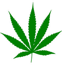 Lighter Side: Fired for legally buying pot