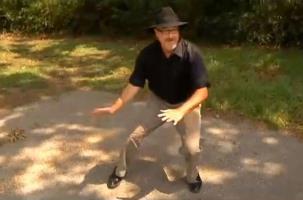 Lighter side: Fired for dancing?