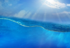 What are Mars employees doing underwater in Indonesia?