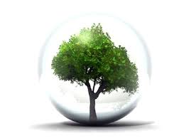 Fossil Free Portfolios Trending But Some Question Wisdom of Divestment