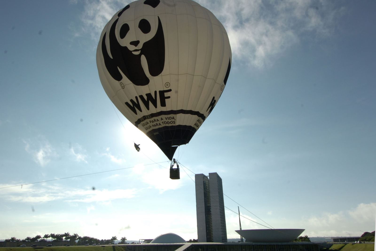 wwf-recognizes-insurer-for-conservation-efforts-insurance-business-canada