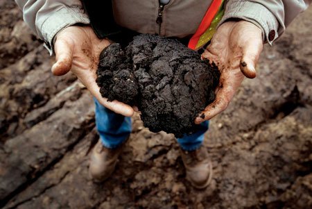 Alberta readies for more pain