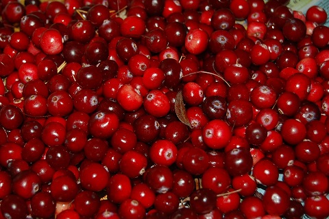 Christmas cranberries glut means big opportunity for carriers