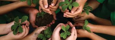 How to ensure your CSR program is a success