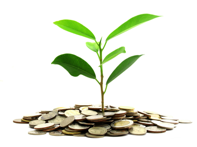 Green bond market reaching critical mass
