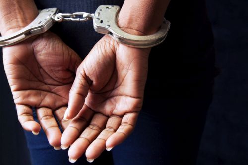Agent charged with criminal trespass
