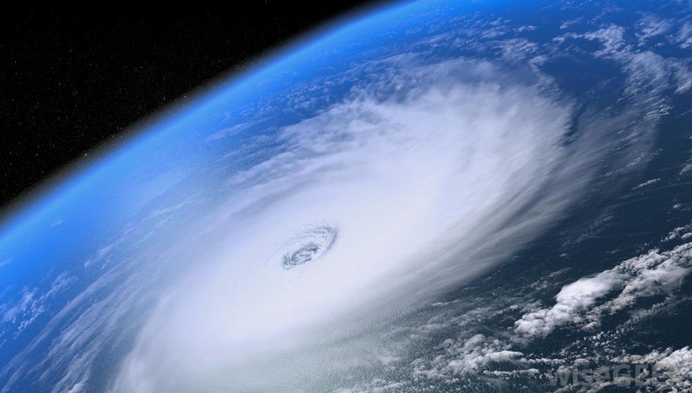 Regulation like being in a hurricane, says Toronto advisor
