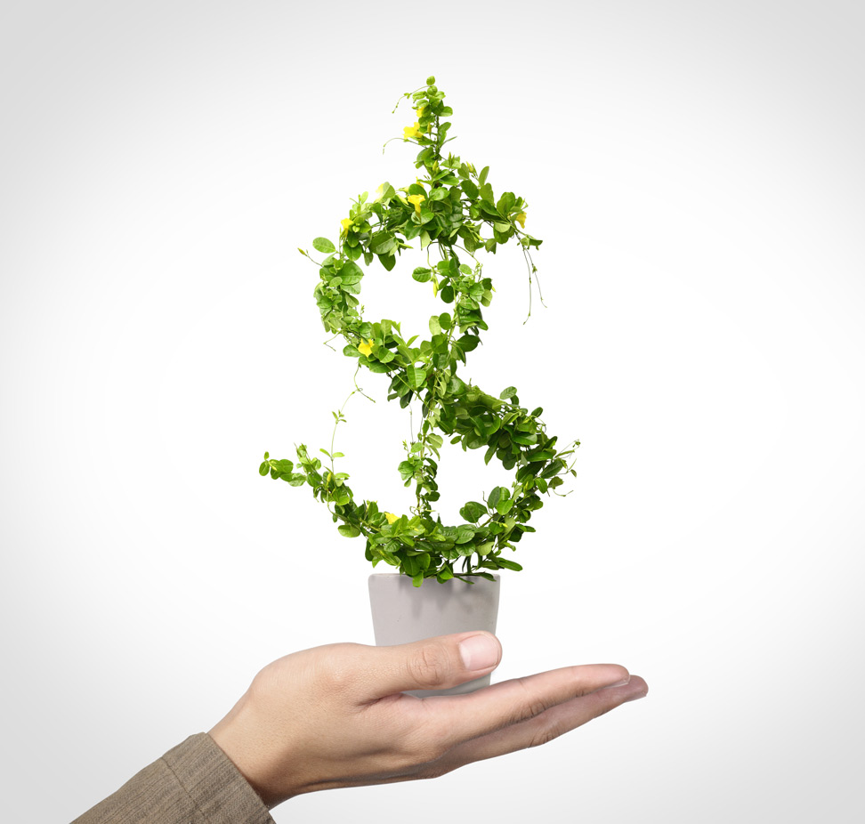 Investors want public disclosures of environmental footprints