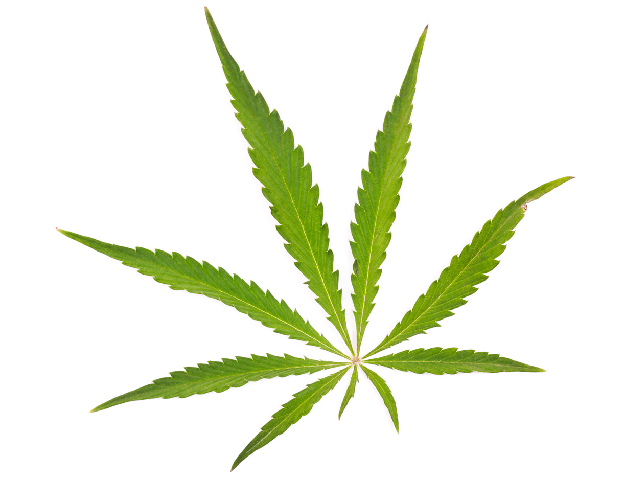 Election a game-changer for pot investments
