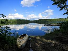 Also popular: Succession on Sharbot Lake