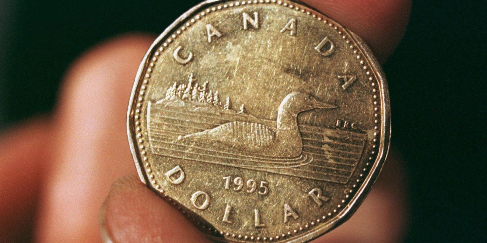 Loonie hits a 5 year low