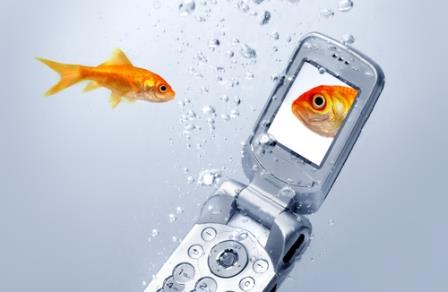New poll: How do you vacation in the smart phone age?