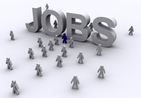 BoC governor sees no sign of housing or employment crisis