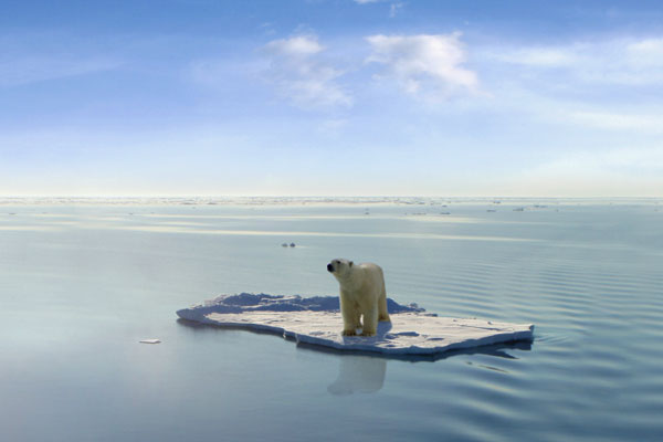 Real estate industry needs to work with insurers on climate change