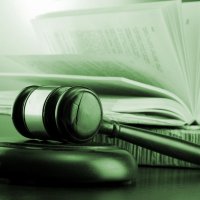 Judge rules client – not advisor – responsible for loss