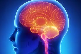 How your workplace can harm your brain function